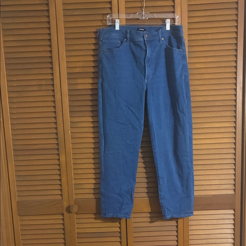 Express Men's Corduroy Pants in Blue